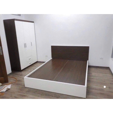 Giường óc chó vai trắng